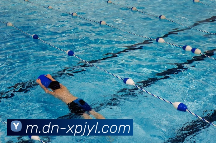 多媒体互动体验